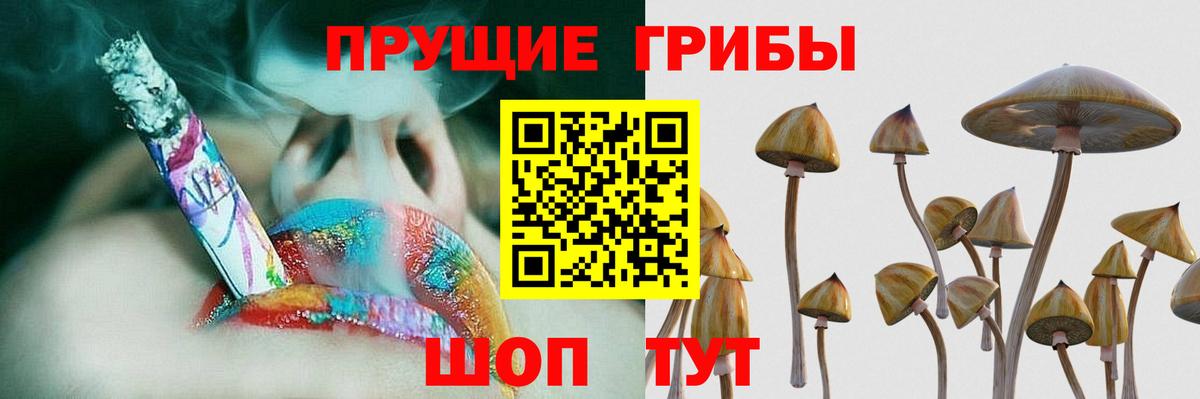 Галлюциногенные грибы Cubensis Сланцы